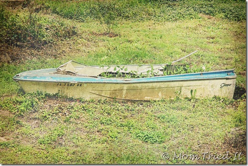 IMG_4142edit
