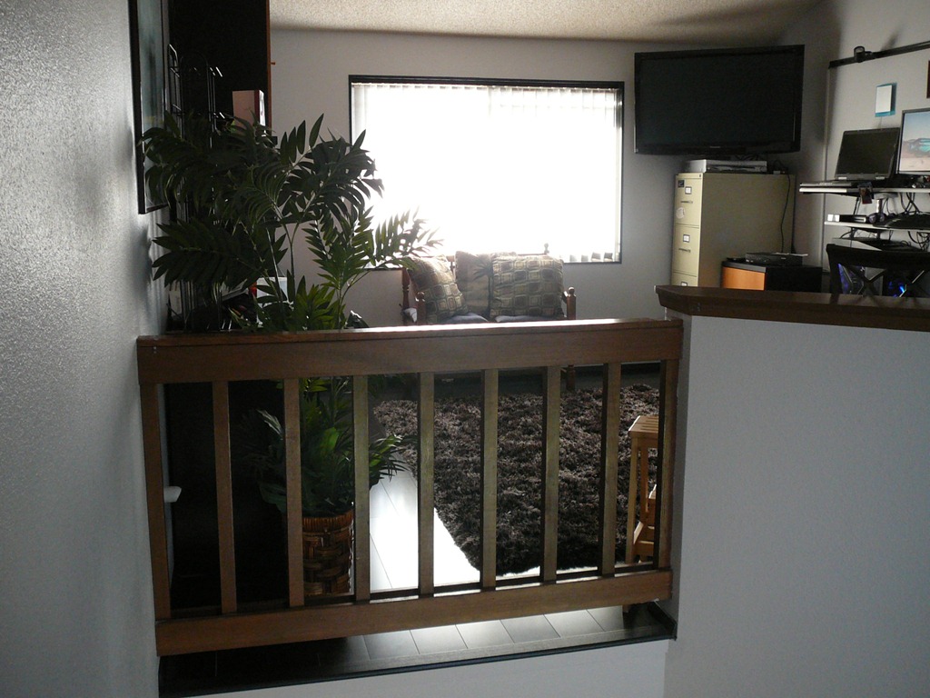 [P1060537[4].jpg]