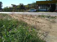 Парцел в Пазарджик Photo Парцел в Пазарджик Photo
