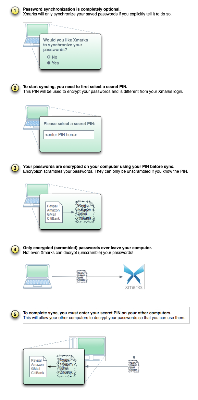 password-sync-diagram.png