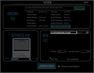 vio_11.jpg