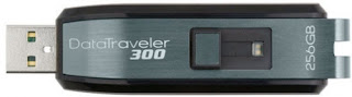 DataTraveler300.jpg