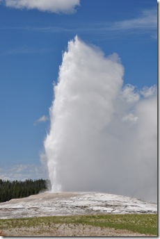 Yellowstone 2009 127