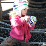 Zoo & Hawk 003.jpg