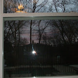 January 2010 018.jpg