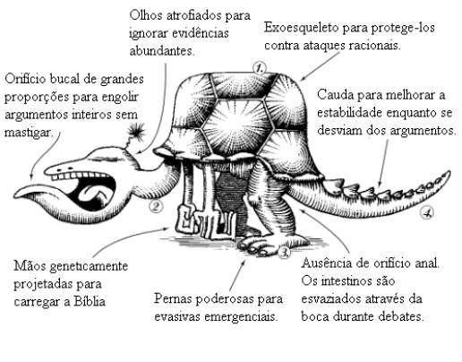 criacionistas_adaptados[1]