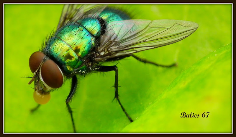 Fun & Info @ Keralites.net