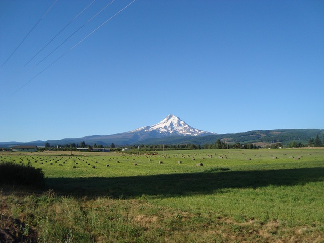 [DSC029132.jpg]