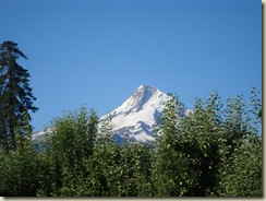 DSC02917