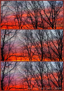[Sunsets[15].jpg]