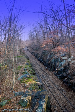 [Making Tracks[4].jpg]