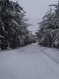 Picture 022.jpg