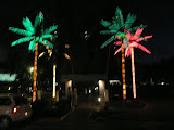 P1000181.jpg