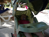 P1000247.JPG