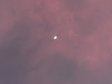 P1000407.JPG