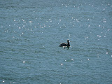 P1000427.JPG