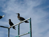 P1000429.JPG
