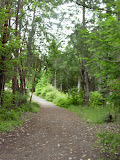DSC01617.JPG