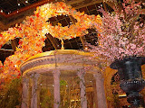mini-Picture 046.jpg