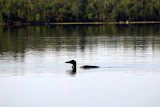 IMG_2860.JPG