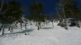 P1050773.JPG