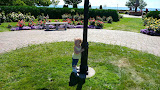 P1010593.JPG