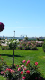 P1010607.JPG