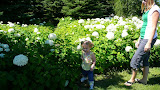 P1010616.JPG