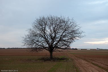 [2010-03-10---18-00---20100310180018034[2].jpg]
