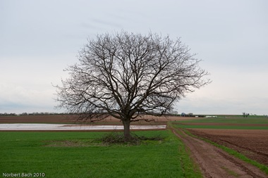 [2010-03-30---14-34---20100330143421003[4].jpg]
