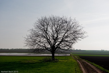 [2010-04-09---07-45---20100409074537094[2].jpg]