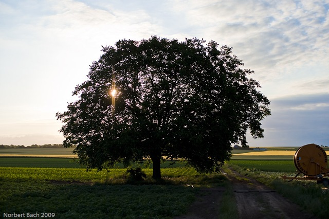 [20090604052329003[2].jpg]