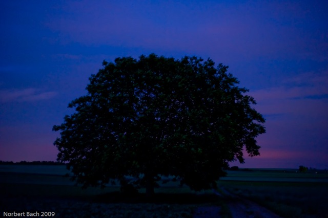 [20090526212020020[2].jpg]