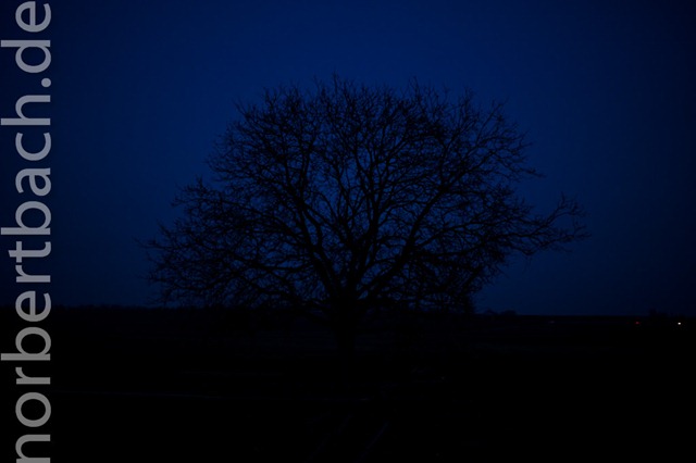 [2011-02-08---18-05---20110208180549381[2].jpg]
