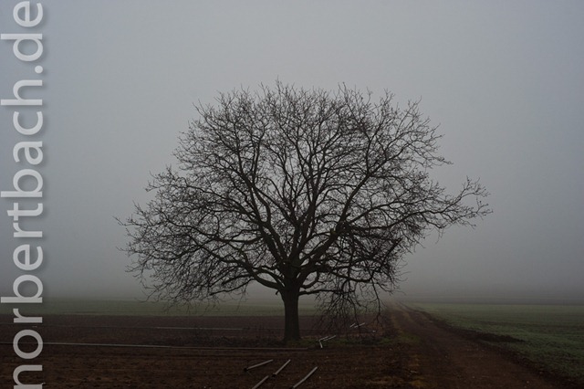 [2011-02-10---07-52---20110210075218405[2].jpg]