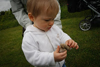 IMG_3583090613-11