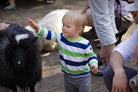 Oliver på Kolmården