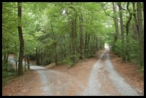 Fork in the Road (small)