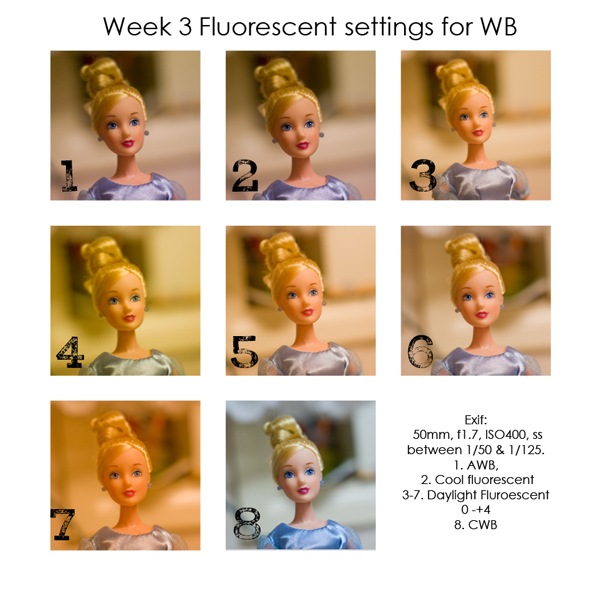 [wk 3 fluorescent settings[2].jpg]