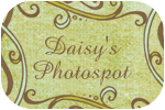 Daisy’s Photospot