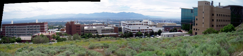 [salt_lake_stitch2[3].jpg]