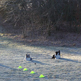 Fællesdæk på en frost dag! Hvor onde kan sådan nogle hundeejere dog være? SÅ onde er svaret.....