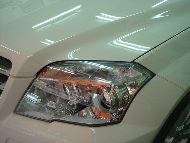 [DSC06021[2].jpg]
