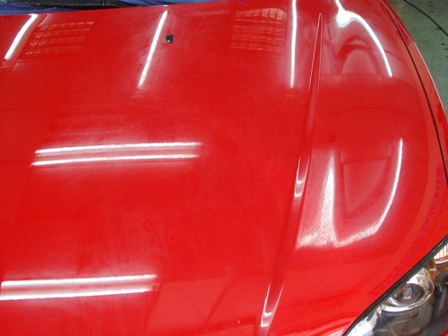 [ap_F23_20090607101606757[2].jpg]