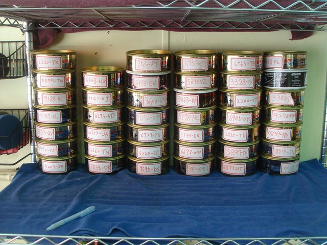 [37796_281169864985_55975859985_896196_1905551_n[2].jpg]