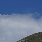 PICT1281.JPG