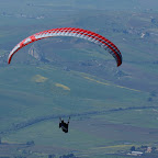 PICT1254.JPG