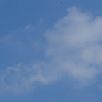 PICT1270.JPG