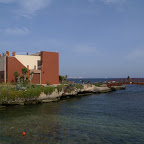 PICT1421.JPG