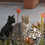 PICT1423.JPG
